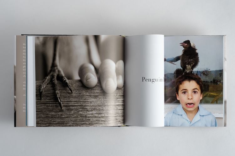 Produktbild: Penguin Bloom