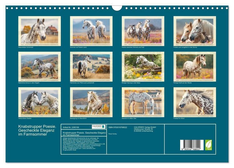 Produktbild: Knabstrupper Poesie. Gescheckte Eleganz im Farmsommer (Wandkalender 2027 DIN A3 quer), CALVENDO Monatskalender
