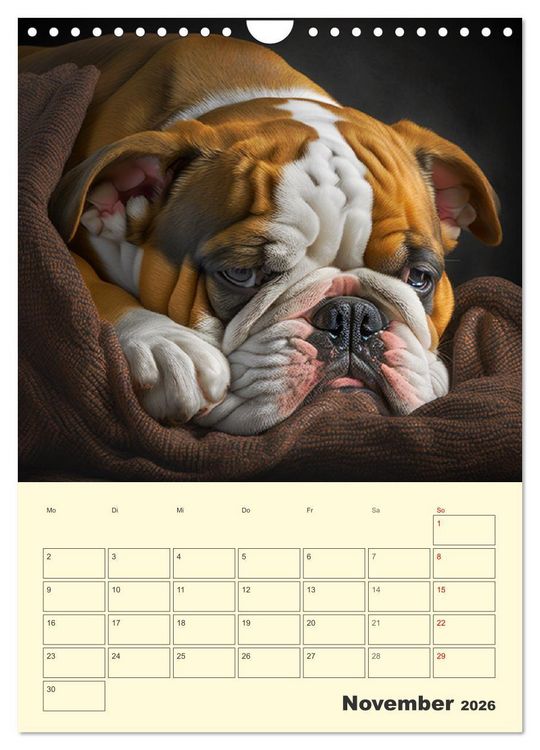 Produktbild: English Bulldogs. Fr&ouml;hliche Dickk&ouml;pfe mit Charakter (Wandkalender 2026 DIN A4 hoch), CALVENDO Monatskalender