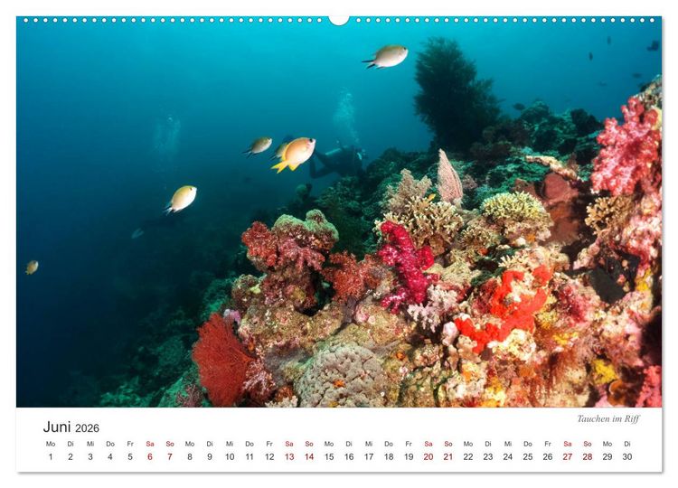 Produktbild: Unterwasser - eine bunte Welt (hochwertiger Premium Wandkalender 2026 DIN A2 quer), Kunstdruck in Hochglanz