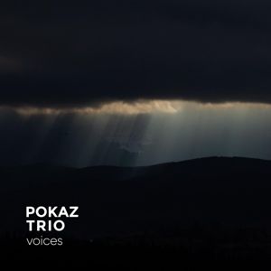 Produktbild: Voices