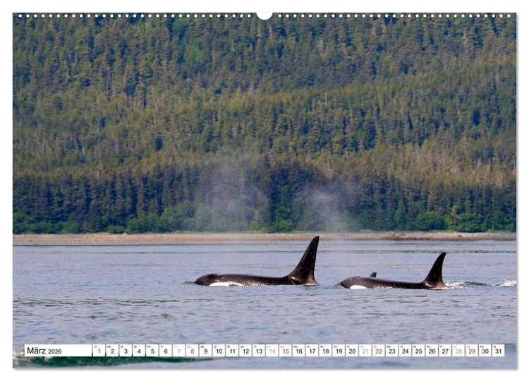 Produktbild: Alaska - Lockruf der Wildnis (hochwertiger Premium Wandkalender 2026 DIN A2 quer), Kunstdruck in Hochglanz