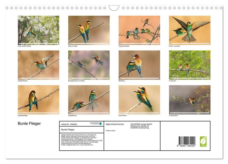 Produktbild: Bunte Flieger (Wandkalender 2026 DIN A3 quer), CALVENDO Monatskalender