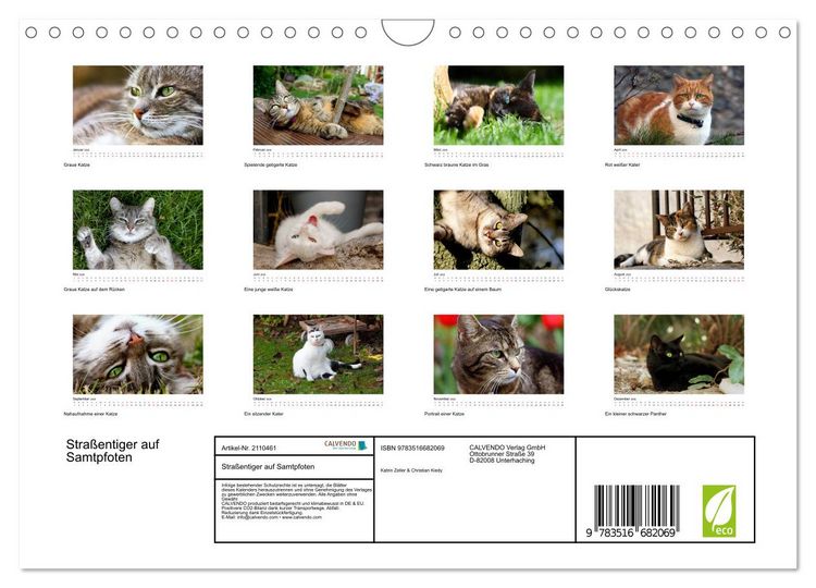 Produktbild: Stra&szlig;entiger auf Samtpfoten (Wandkalender 2026 DIN A4 quer), CALVENDO Monatskalender