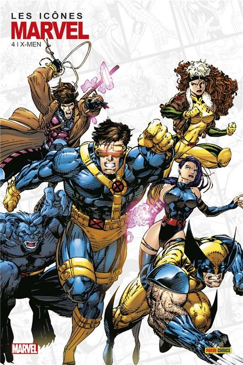 Produktbild: Les icones de marvel no04 : x-men