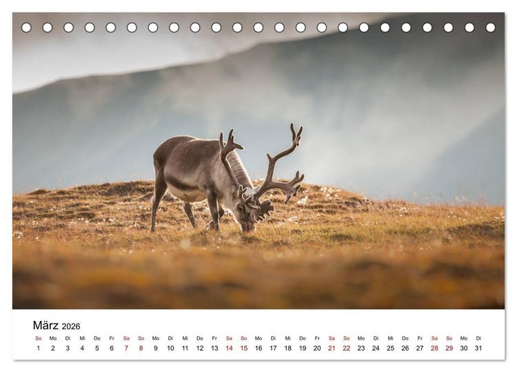 Produktbild: Spitzbergenkalender (Tischkalender 2026 DIN A5 quer), CALVENDO Monatskalender