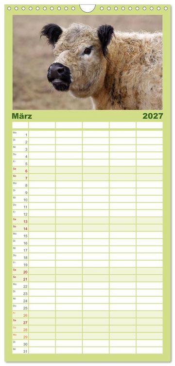Produktbild: Familienplaner 2027 - Muuuhhh! mit 5 Spalten (Wandkalender, 21 x 45 cm) CALVENDO