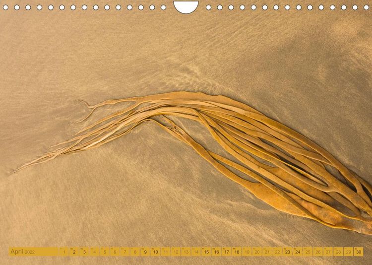 Produktbild: Am Strand - Fundst&uuml;cke und Kunstwerke (Wandkalender 2022 DIN A4 quer)