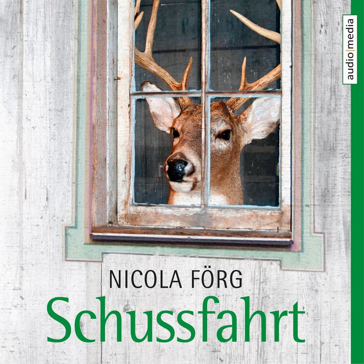 Produktbild: Schussfahrt - Ein Allg&auml;u-Krimi