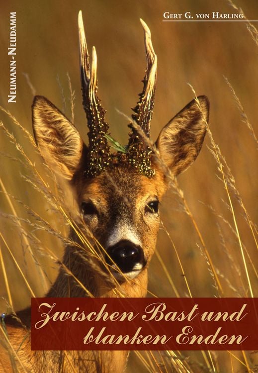 Produktbild: Zwischen Bast und blanken Enden