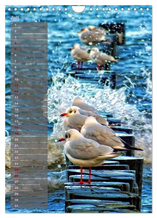 Produktbild: Ostsee Tour Deutschland - maritime Highlights (Wandkalender 2026 DIN A4 hoch), CALVENDO Monatskalender