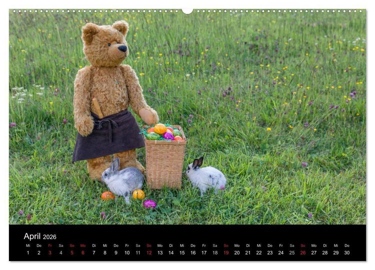 Produktbild: Martin B&auml;ren (hochwertiger Premium Wandkalender 2026 DIN A2 quer), Kunstdruck in Hochglanz