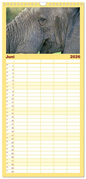 Produktbild: Familienplaner 2026 - Elefanten in der Serengeti mit 5 Spalten (Wandkalender, 21 x 45 cm) CALVENDO