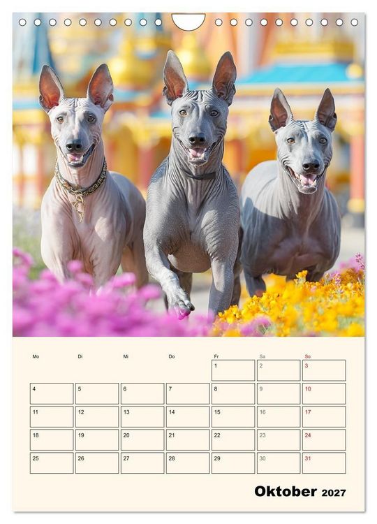 Produktbild: Xolos. Seelenhunde aus Mexiko (Wandkalender 2027 DIN A4 hoch), CALVENDO Monatskalender