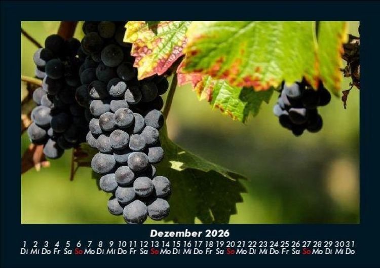 Produktbild: Fr&uuml;chte 2026 Fotokalender DIN A5