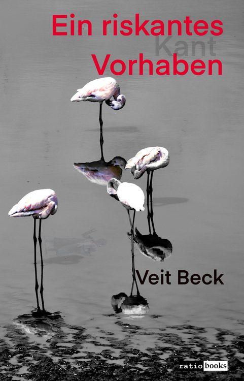 Produktbild: Ein riskantes Vorhaben