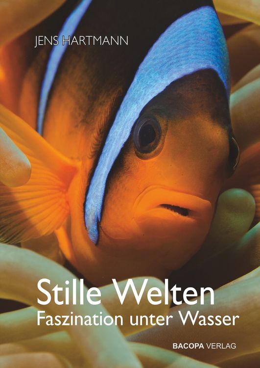 Produktbild: Stille Welten
