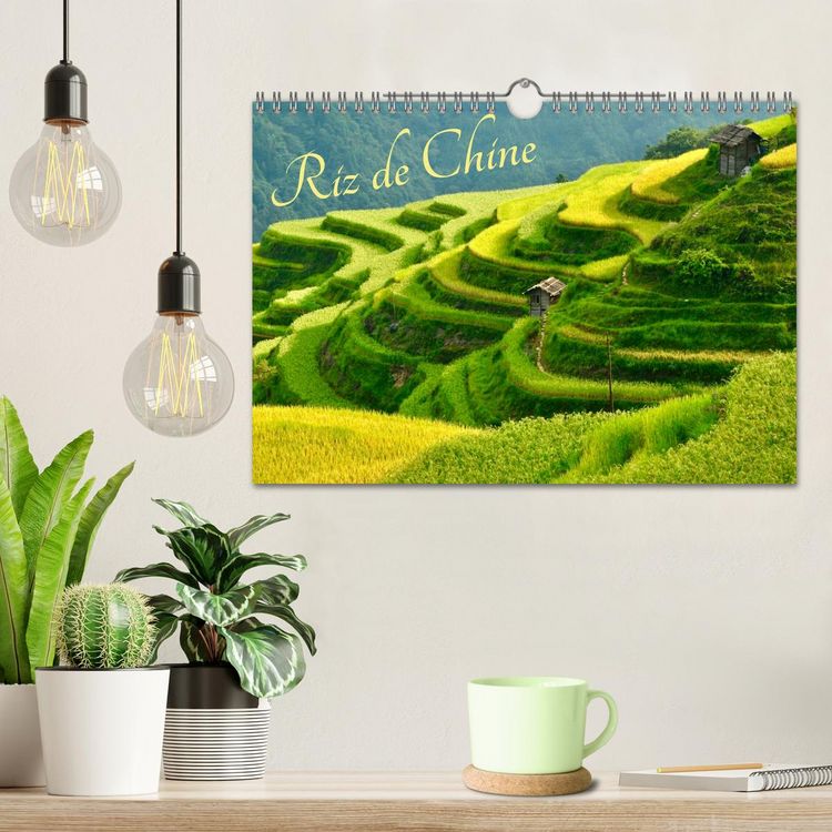 Produktbild: Riz de Chine (Calendrier mural 2026 DIN A4 vertical), CALVENDO calendrier mensuel