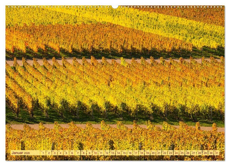 Produktbild: Farbenpr&auml;chtige Weinberge (hochwertiger Premium Wandkalender 2026 DIN A2 quer), Kunstdruck in Hochglanz