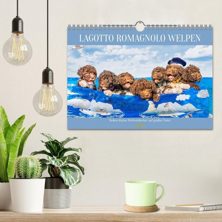Produktbild: Lagotto Romagnolo Welpen - Sieben kleine Weltentdecker auf gro&szlig;er Fahrt (Wandkalender 2026 DIN A4 quer), CALVENDO Monatskalender
