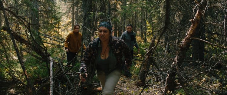 Produktbild: Dark Nature
