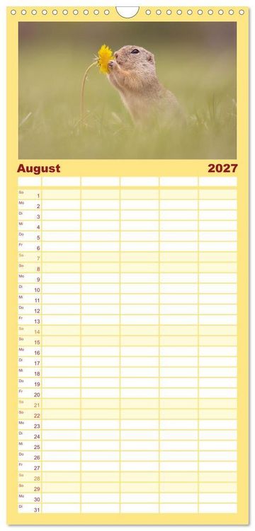Produktbild: Familienplaner 2027 - Zauberhafte Ziesel mit 5 Spalten (Wandkalender, 21 x 45 cm) CALVENDO