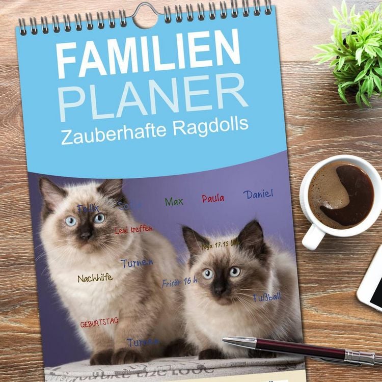 Produktbild: Familienplaner 2026 - Zauberhafte Ragdolls mit 5 Spalten (Wandkalender, 21 x 45 cm) CALVENDO