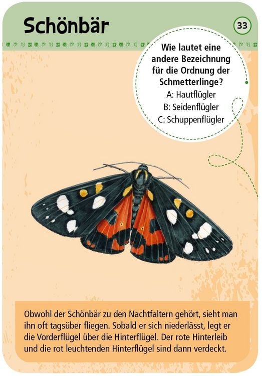 Produktbild: Expedition Natur - 50 heimische Schmetterlinge