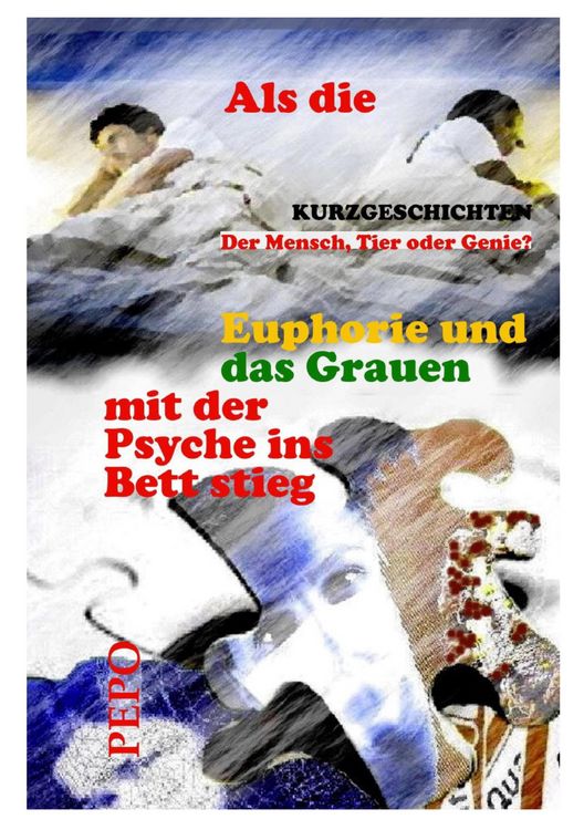 Produktbild: Als die Euphorie und das Grauen mit der Psyche ins Bett stieg