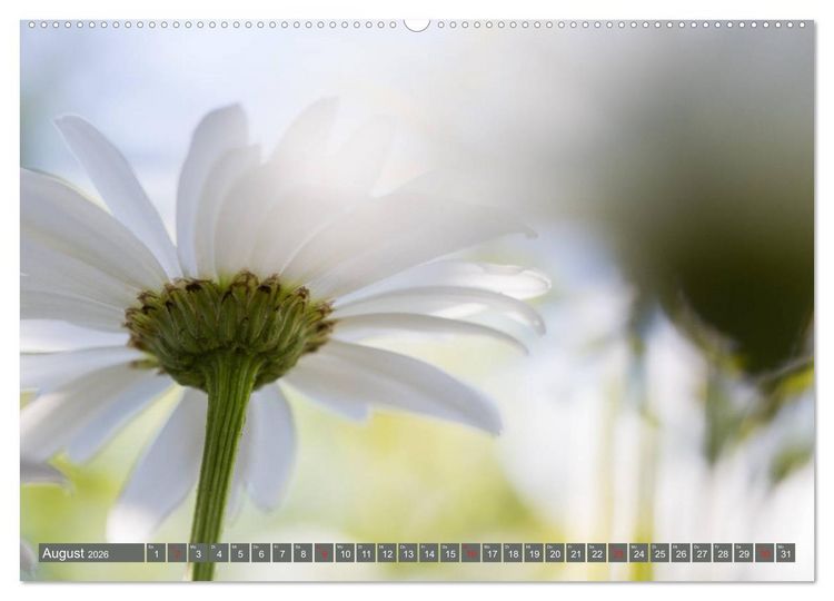 Produktbild: Die Natur hautnah (hochwertiger Premium Wandkalender 2026 DIN A2 quer), Kunstdruck in Hochglanz