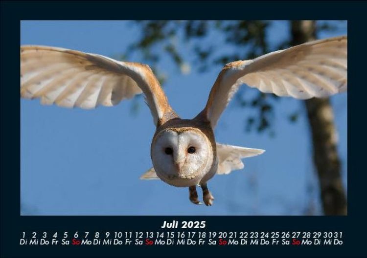 Produktbild: Welt der V&ouml;gel 2025 Fotokalender DIN A5