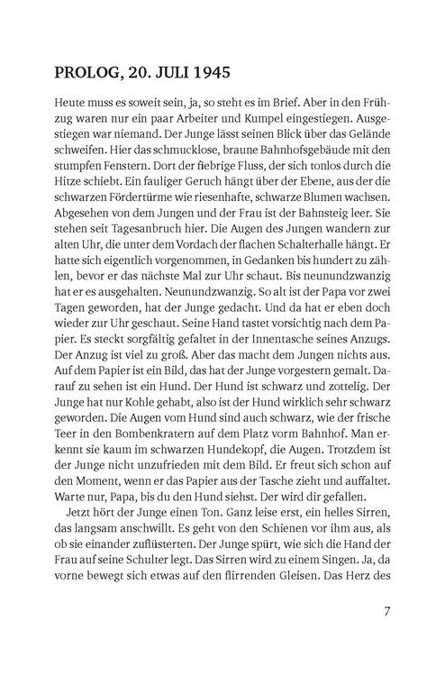 Produktbild: Durch die Welt ein Riss