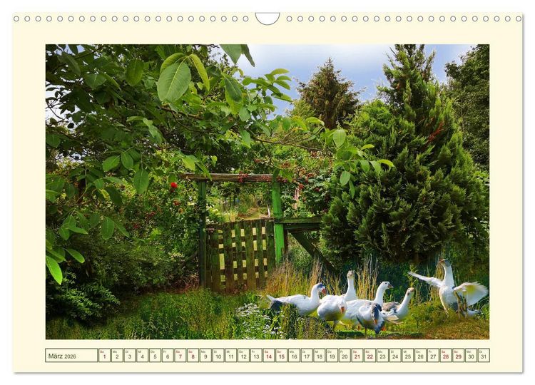 Produktbild: Mein sch&ouml;nes Land - Landliebe Wetterau (Wandkalender 2026 DIN A3 quer), CALVENDO Monatskalender
