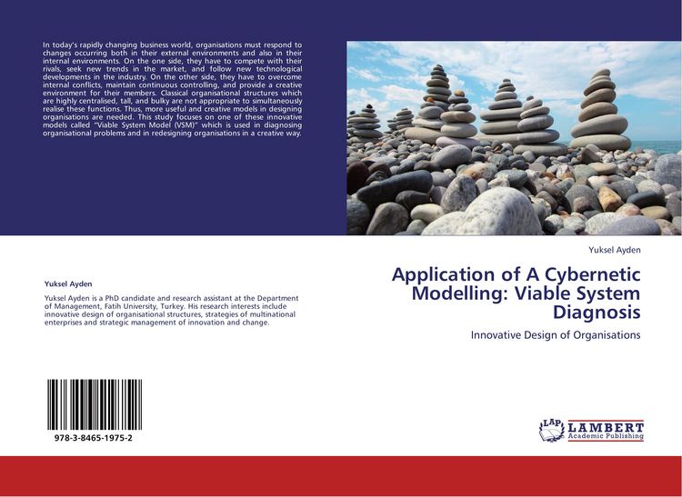 Produktbild: Application of A Cybernetic Modelling: Viable System Diagnosis