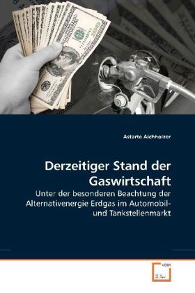 Produktbild: Aichholzer, A: Derzeitiger Stand der Gaswirtschaft
