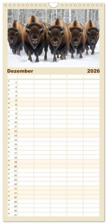 Produktbild: Familienplaner 2026 - B&uuml;ffel - Ikonen der Wildnis mit 5 Spalten (Wandkalender, 21 x 45 cm) CALVENDO
