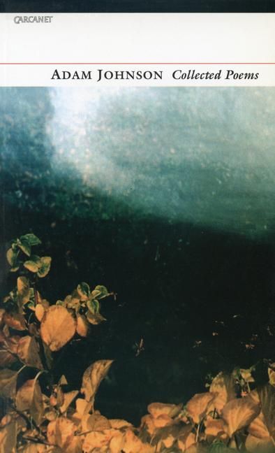 Produktbild: Adam Johnson Collected Poems