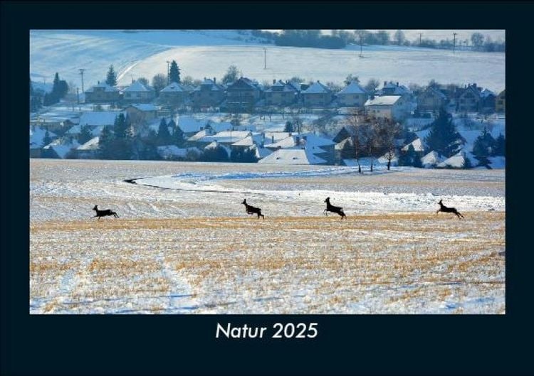 Produktbild: Natur 2025 Fotokalender DIN A5