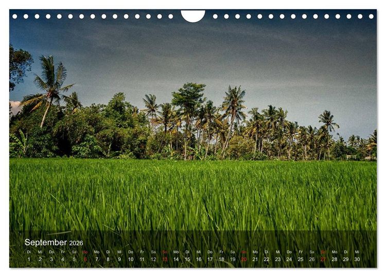 Produktbild: Bali - Insel der Tempel, G&ouml;tter und D&auml;monen (Wandkalender 2026 DIN A4 quer), CALVENDO Monatskalender