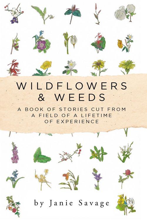 Produktbild: Wildflowers & Weeds