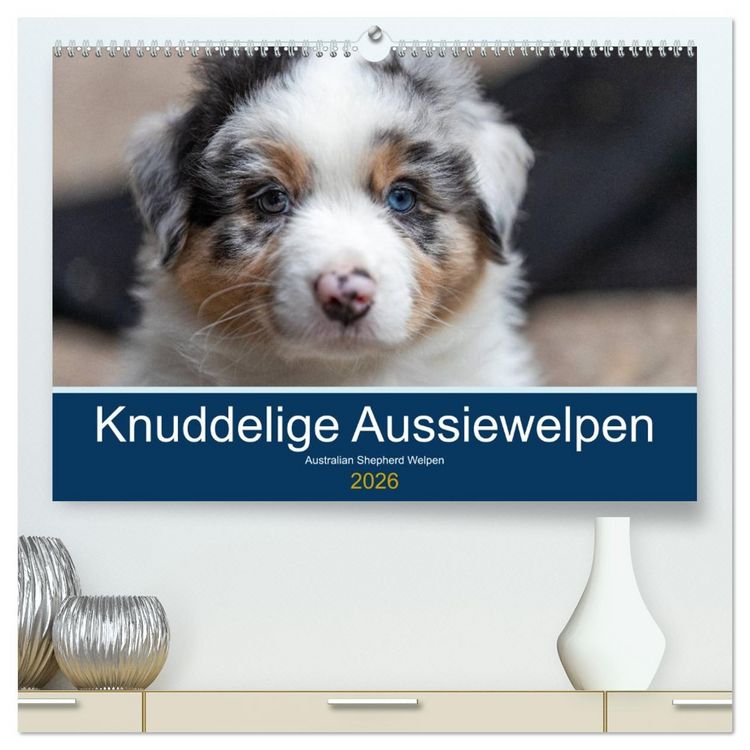 Produktbild: Australian Shepherd Welpen 2026 (hochwertiger Premium Wandkalender 2026 DIN A2 quer), Kunstdruck in Hochglanz