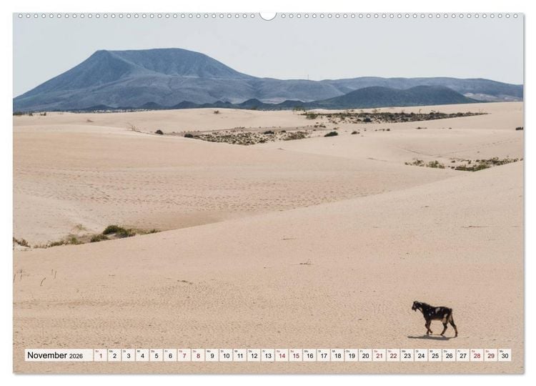 Produktbild: Fuerteventura Sand und bunte Farben (Wandkalender 2026 DIN A2 quer), CALVENDO Monatskalender