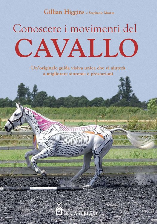 Produktbild: Conoscere i movimenti del cavallo