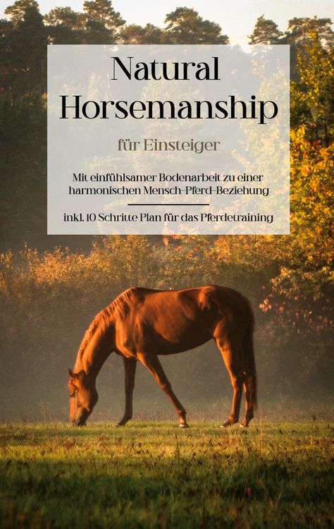Produktbild: Natural Horsemanship f&uuml;r Einsteiger: Mit einf&uuml;hlsamer Bodenarbeit zu einer harmonischen Mensch-Pferd-Beziehung - inkl. 10 Schritte Plan f&uuml;r das Pferdetraining