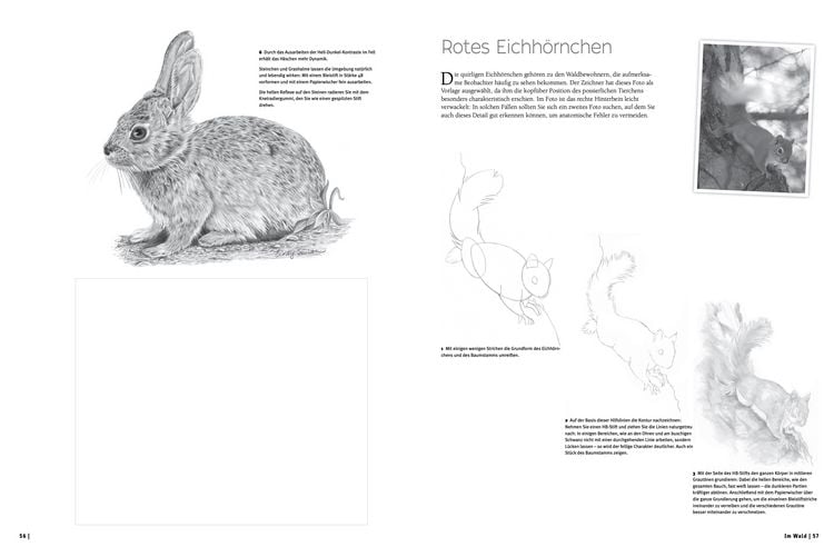 Produktbild: Die Kunst des Zeichnens - Natur &Uuml;bungsbuch