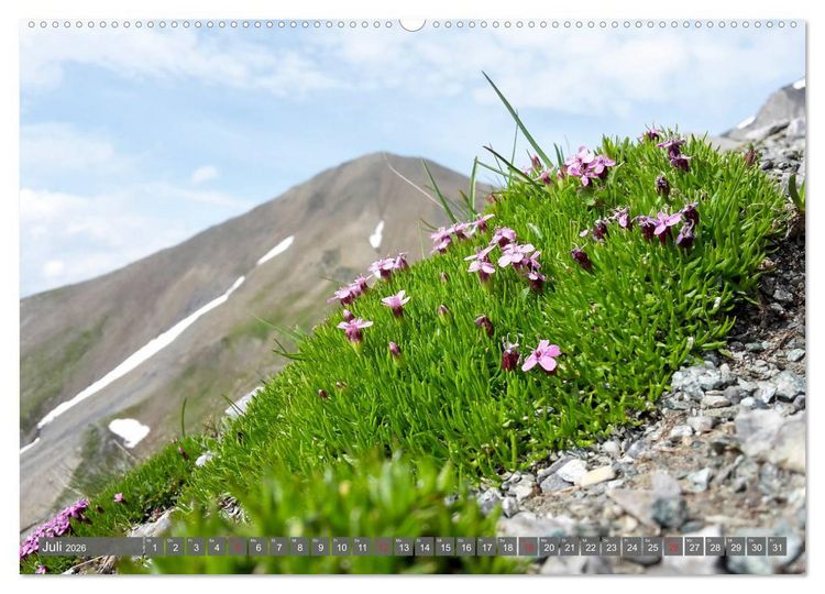 Produktbild: Flora der Alpen (hochwertiger Premium Wandkalender 2026 DIN A2 quer), Kunstdruck in Hochglanz