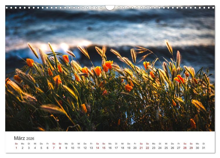 Produktbild: Die magische Welt der Blumen (Wandkalender 2026 DIN A3 quer), CALVENDO Monatskalender