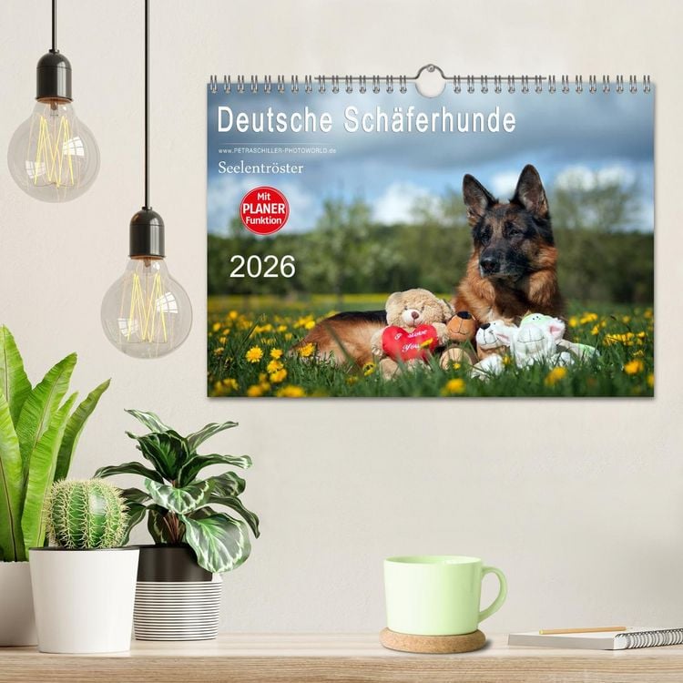Produktbild: Deutsche Sch&auml;ferhunde Seelentr&ouml;ster (Wandkalender 2026 DIN A4 quer), CALVENDO Monatskalender
