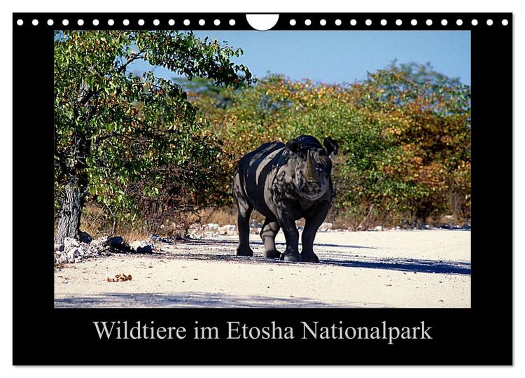 Produktbild: Wildtiere im Etosha Nationalpark (Wandkalender 2026 DIN A4 quer), CALVENDO Monatskalender