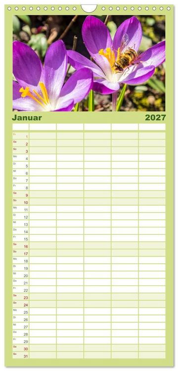 Produktbild: Familienplaner 2027 - INSEKTEN - Makrofotografie in freier Natur mit 5 Spalten (Wandkalender, 21 x 45 cm) CALVENDO
